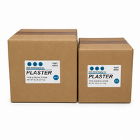 Plaster